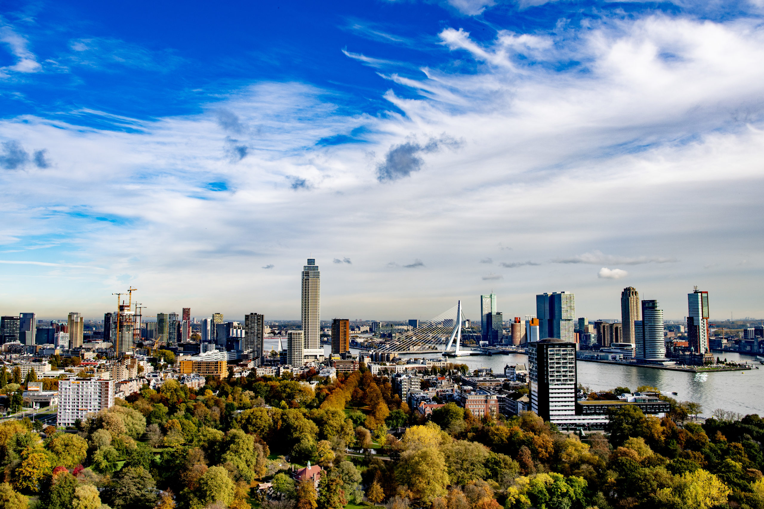 Skyline van Rotterdam, met groen en gebouwen in beeld - Nationale Klimaatweek